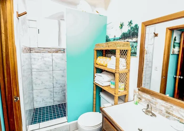 26 At Caribe Island Gold Standard Certified San Pedro (Ambergris Caye)